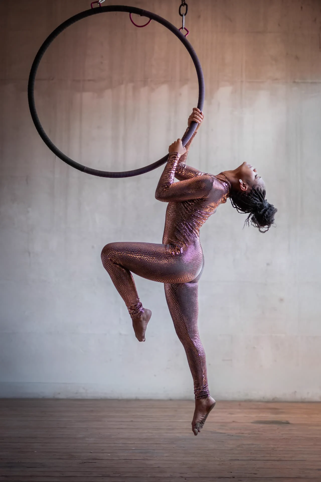 Aerial Hoop